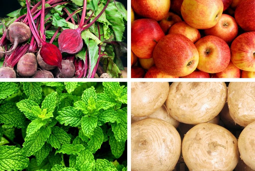 Imagen dividida en cuatro mostrando ingredientes para una ensalada navideña: betabeles, manzanas, hojas de hierbabuena y jícamas