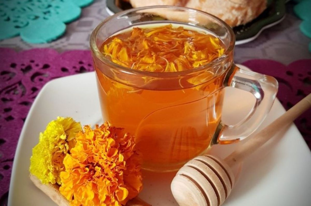 Té de flor de cempasúchil: beneficios, propiedades y cómo prepararlo