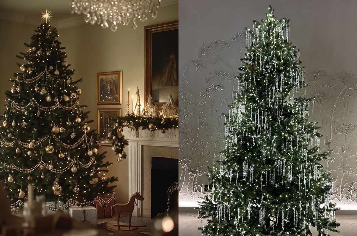 Evita riesgos en casa por las luces del árbol de Navidad