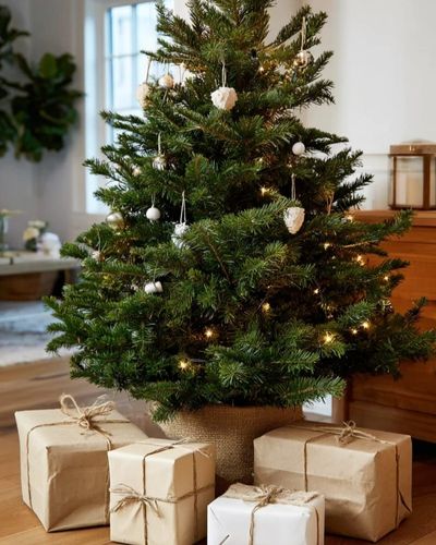 árbol de Navidad natural