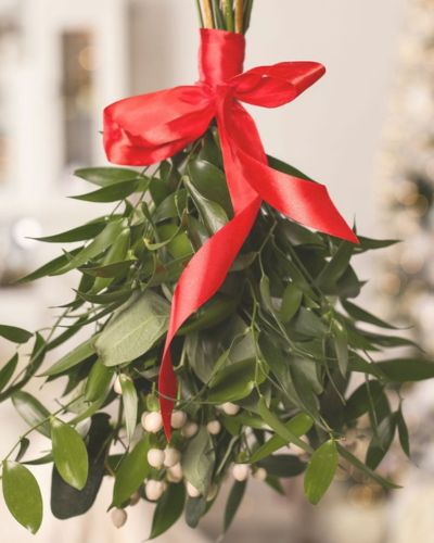 Muerdágo adornado con un moño rojo