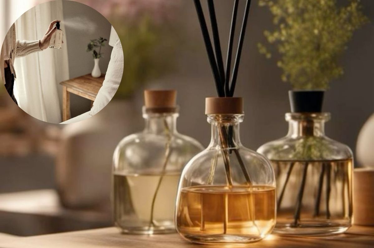 ¿Cómo hacer aromatizantes caseros para perfumar tu hogar sin químicos?