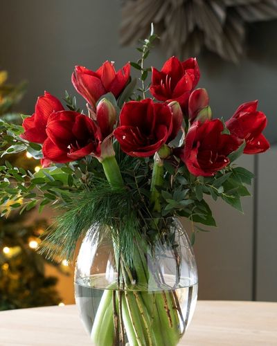 Florero con claveles rojos