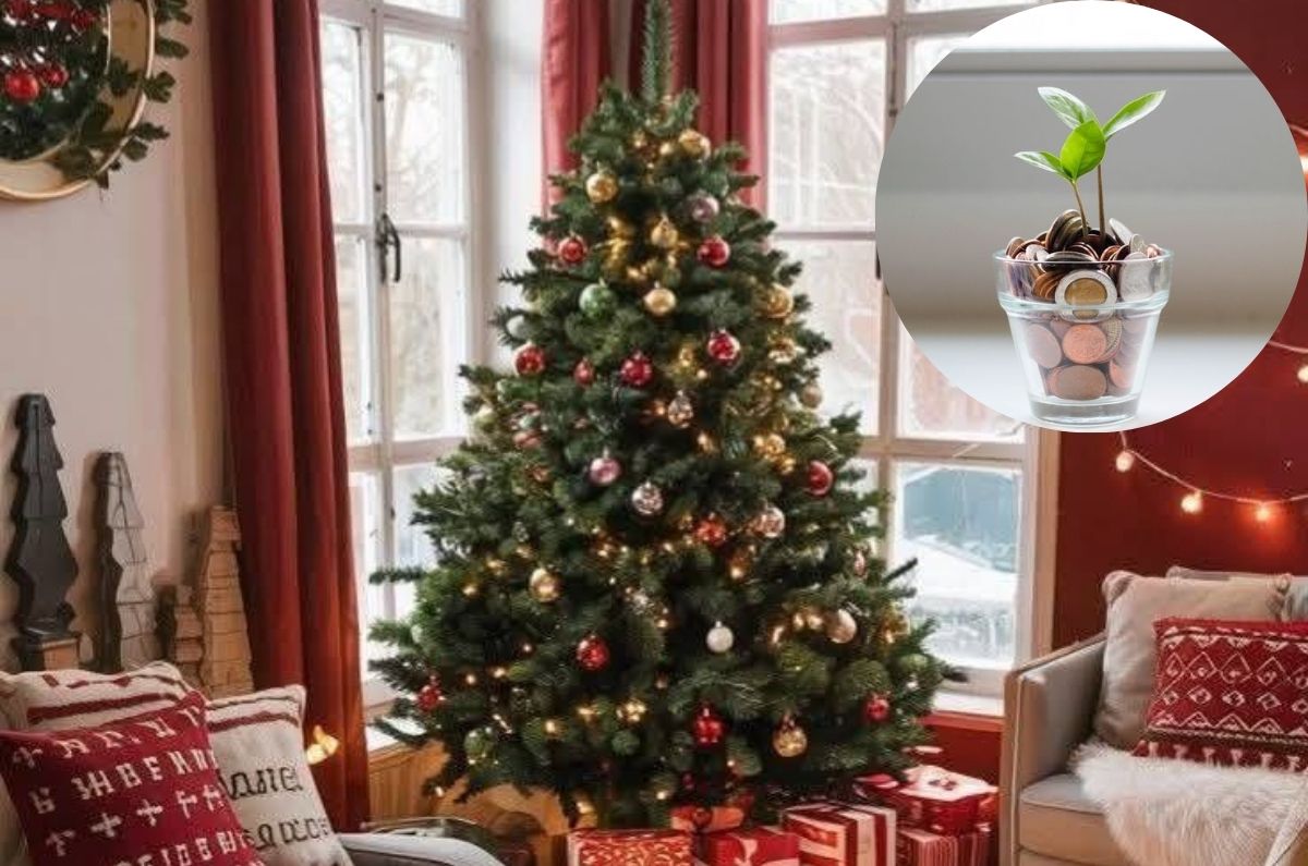 ¿Dónde colocar el árbol de Navidad para atraer abundancia y buena energía?