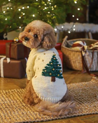 Suéteres navideños para perros