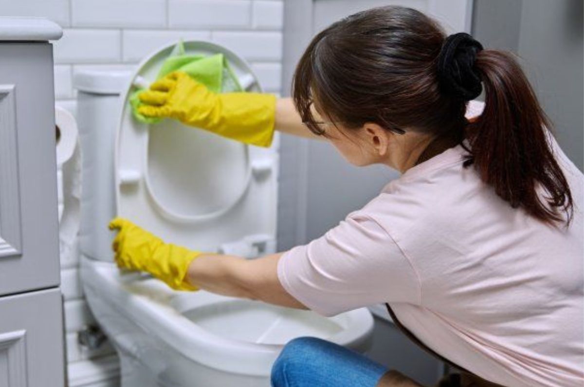 ¿Cómo quitar el sarro del inodoro SIN CLORO?