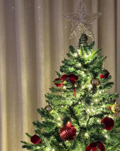 Qué día se debe quitar el árbol de Navidad