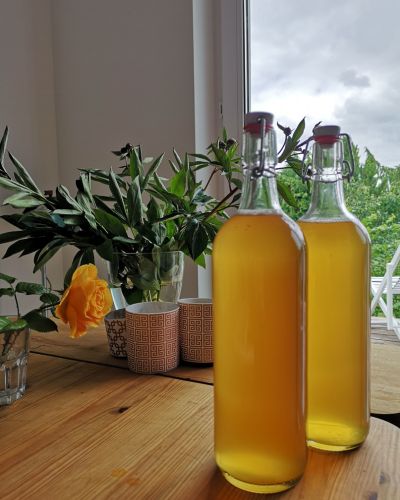 Botellas de kombucha casera sobre mesa de madera junto a plantas.