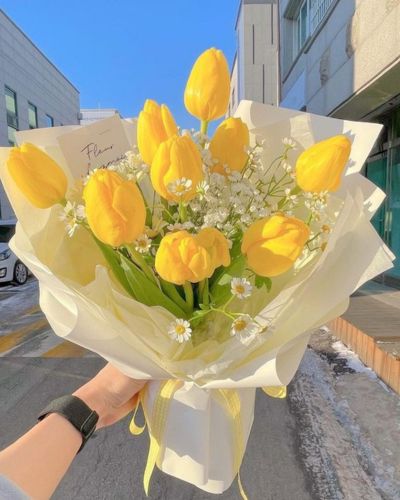 Si este año vas a regalar un ramo de tupilanes, rosas o lirios amarilos, lo ideal es cotizar con anticipación 