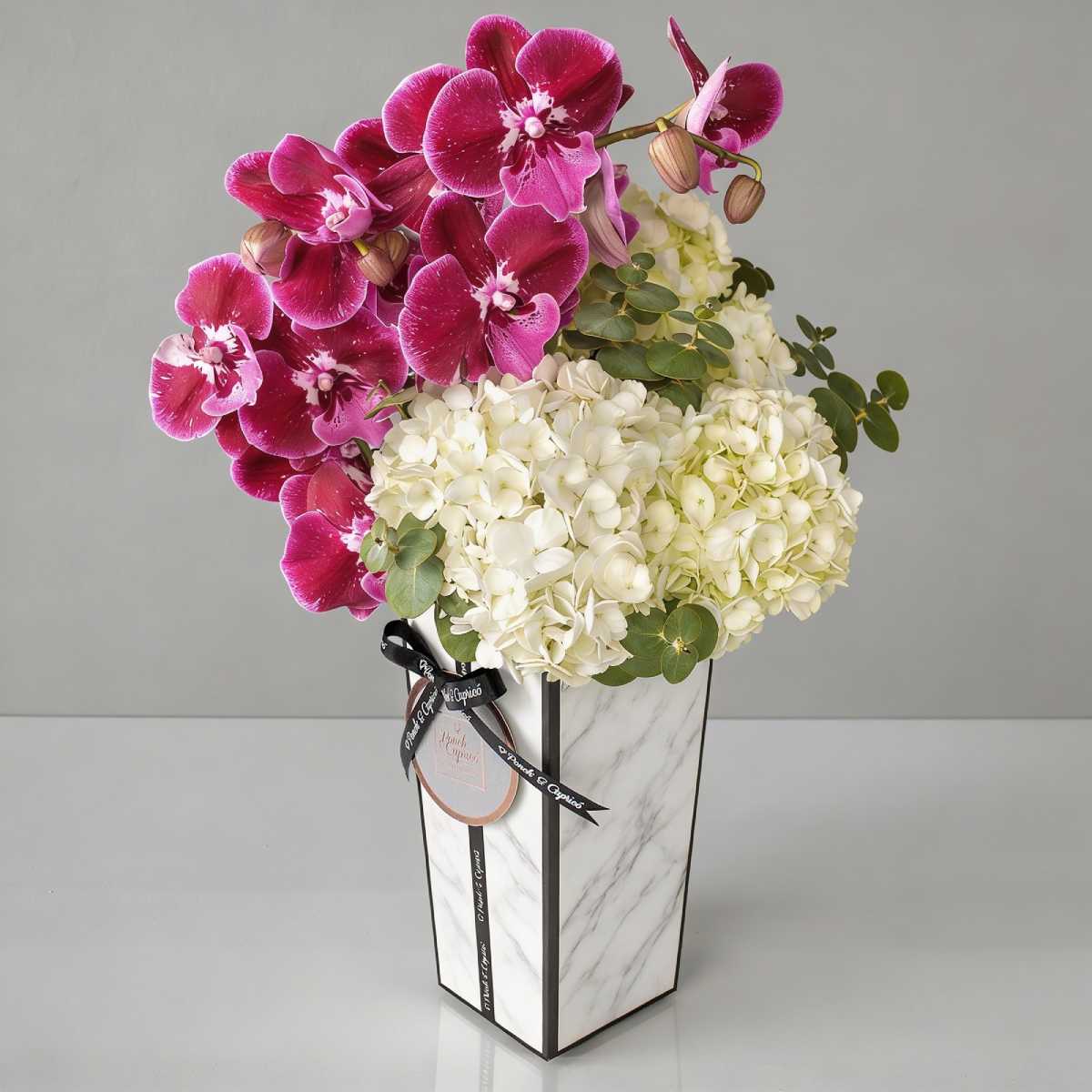 ponch-y-caprico-hortensia-virgo