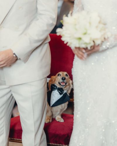 boda Charles Leclerc y Alexandra Saint Mleux