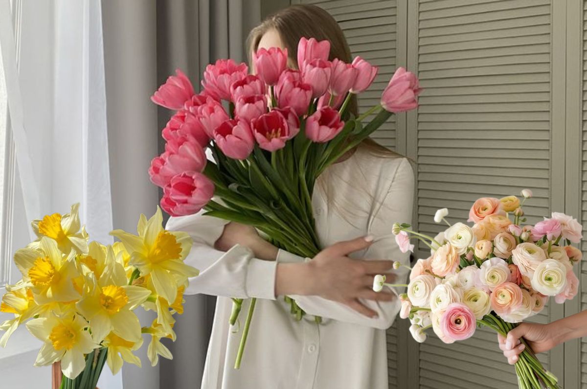Flores de marzo (más allá de las flores amarillas) para decorar tu hogar