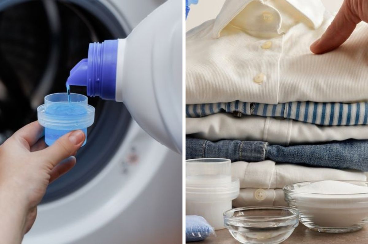 Detergente líquido o en polvo: ¿cuál deja tu ropa más limpia?