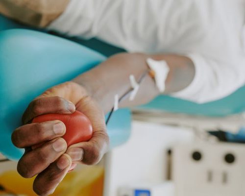 Donación de células madre en México: tu registro puede regalar vida 1