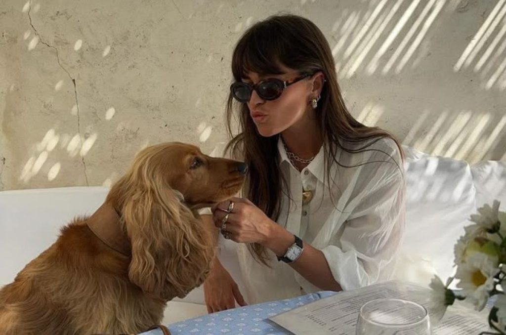 Lomitos Dónde Ir 2026