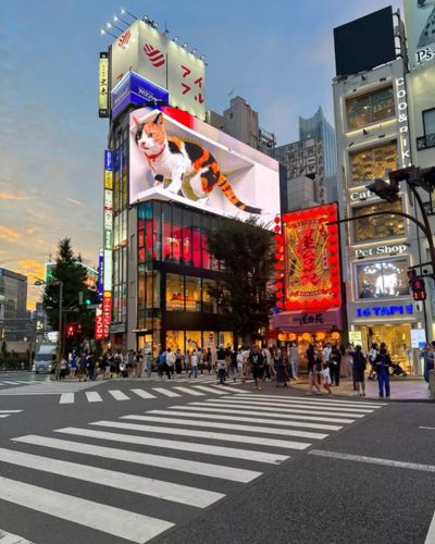 Lugares para comprar lujo barato en Japón: Centro de Shibuya