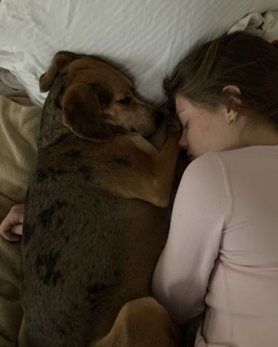 La razón del por qué tu perro duerme contigo