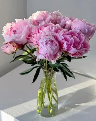 Ramo de peonías rosas