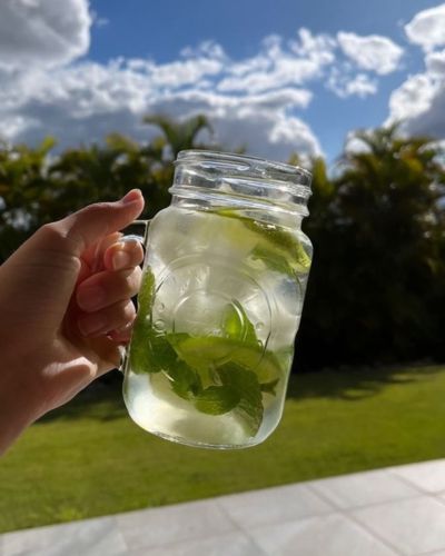 Bebidas de verano: limonada de menta