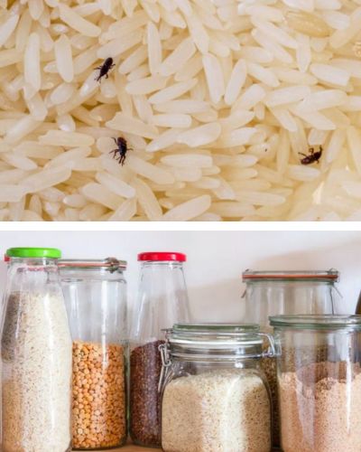 Cómo almacenar alimentos para evitar gorgojos en la alacena.