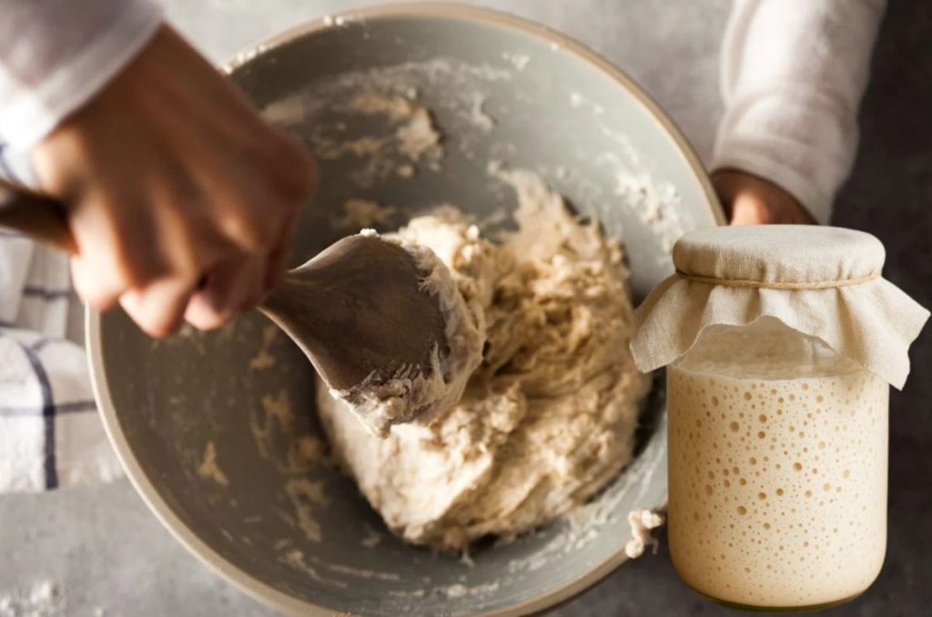 Masa madre casera