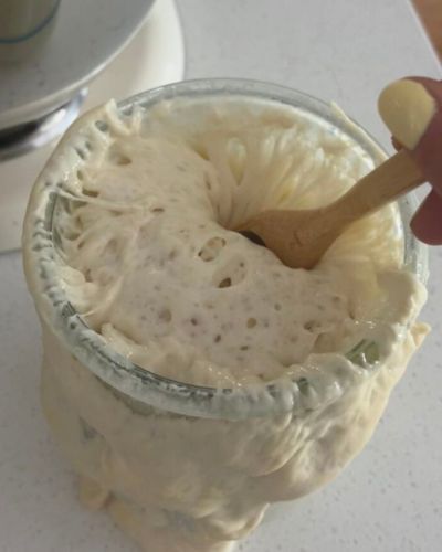 Masa madre casera
