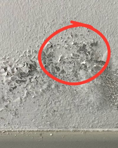 Pared con pintura levantada y manchas por humedad en el hogar, con un círculo rojo señalando el área dañada por filtraciones.