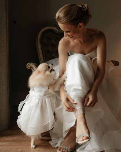 Ideas para incluir a tu perro el día de tu boda